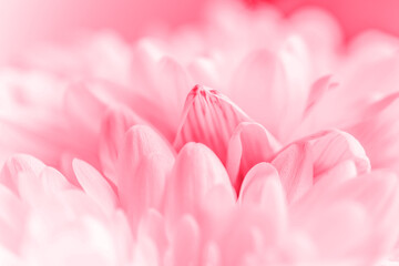 Trendy color 2023. Via magenta color background
