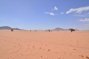 Fototapeta na wymiar Desert of Sossusvlei, Namib-Naukluft National Park, Namibia blue sky panorama