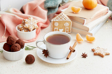 Mockup white Christmas cup. Warm marshmallows cocoa with homemade ginger cookies in shape of cute home near books. Aesthetic female Christmas background