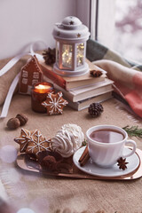  Winter morning at snowy day. Christmas cozy home with books, seasonal cookies, marshmallow, cup of coffee background