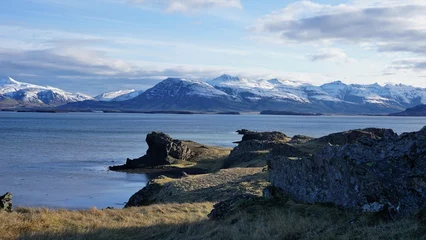 Foto auf Leinwand ijslandse landschap © stef