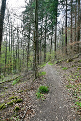Walderlebnispfad Grabengrund (Schlüsselfeld)
