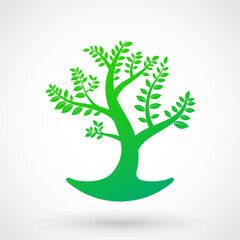 green decoration tree symbol