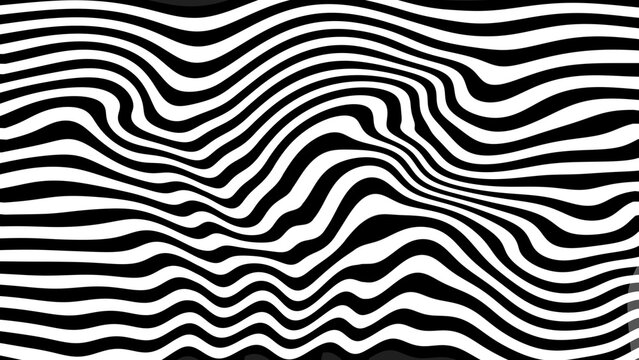 Zebra skin topographic backgrounds and textures with abstract art creations, random black and white waves line background