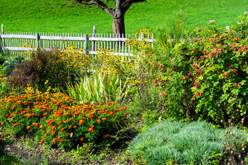 Bauerngarten mit Blumen und Hagebuttenstrauch - obrazy, fototapety, plakaty