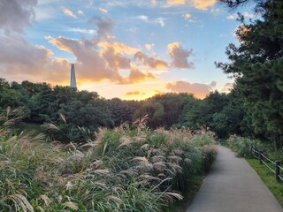Beautiful sunset on a country road with blue sky and clouds. autumn forest road at sunset.