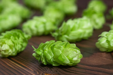 Fresh green hops cone on a wooden table. Close up