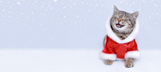 Xmas. New Year greeting card. Cat in Santa costume is smiling. Kitten on the white background. Happy Kitten Santa Claus. Merry Christmas. Happy New Year. Space for text. Web banner. 2023