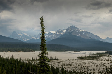 Rain and heavy clouds churn up the silt in the river, as seen from Howes Pass Lookout Banff National Park Alberta Canada