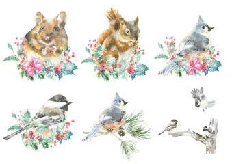 Fototapeta na wymiar Watercolor christmas animal composition set. Squirrel, bird, mouse,poinsettia, holly berry, winter plants, flora. Bouquet,frame, greeting card, poster, gift,sticker, printable, postcard, diy. 