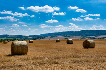 Fototapeta na wymiar Rolls haystacks straw on field, harvesting wheat. Rural field with bales of hay. Landscape
