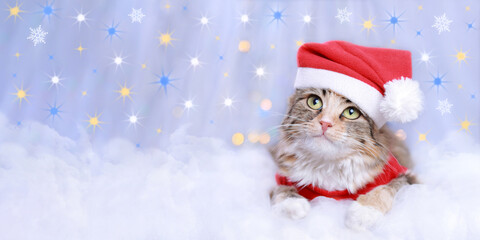 Kitten rests on white cloud. Cat 
in Santa costume. Cat looks at the camera. Kitten on a white background. Happy New Year. Merry Christmas. Web banner copy space. Yellow blue stars. Ukrainian symbols