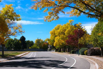 City street view with autumn yellow, red and green trees with bright leaves foliage, empty road and blue sky urban residential neighborhood landscape photo. Seasonal fall background.