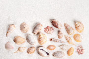 top view of sandy background with seashells