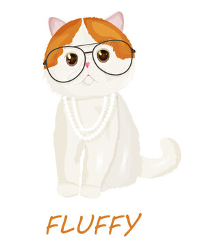 Funny cute exotic cat in glasses and beads isolated on white background. Fluffy sitting kitten in cartoon style. Character of female animal. Vector illustration. For print, shirts
