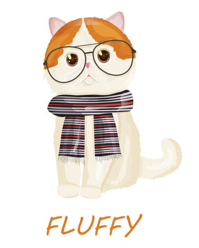 Funny cute cartoon exotic cat in glasses and scarf isolated on white background. Fluffy sitting kitten in cartoon style. Character of female animal. Vector illustration. For print, shirts