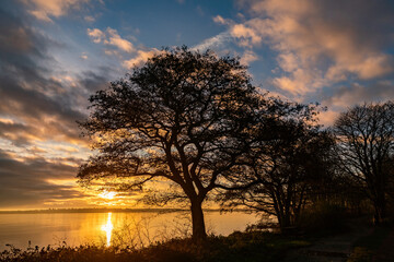 Obraz na płótnie Canvas Sunrise at Penrhos Nature Park, Isle of Anglesey, North Wales 