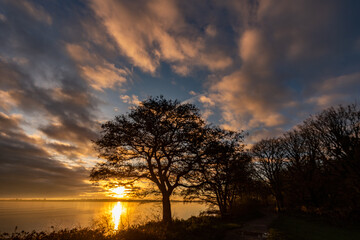 Obraz na płótnie Canvas Sunrise at Penrhos Nature Park, Isle of Anglesey, North Wales 