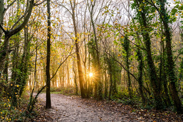 Sunrise at Penrhos Nature Park, Isle of Anglesey, North Wales 