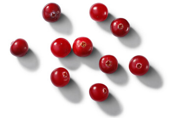 Scattered cranberries Vaccinium oxycoccus fruits, top view isolated png