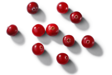 Scattered cranberries Vaccinium oxycoccus fruits, top view isolated png