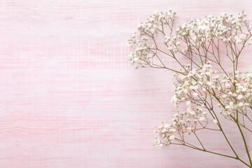 Few twigs  of Gypsophila flowers lay on a light pink shabby wooden background. Top view with copy space. Flat lay. Selective focus