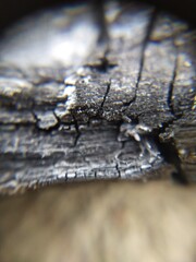burnt wood chips