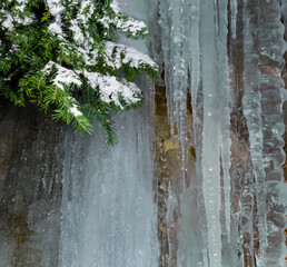 closeup snowbound fir tree near frozen waterfall