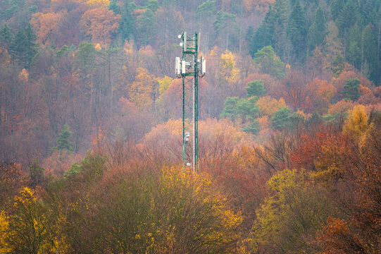 5G mobile phone tower and cellular mast jutting out of fall colored trees
