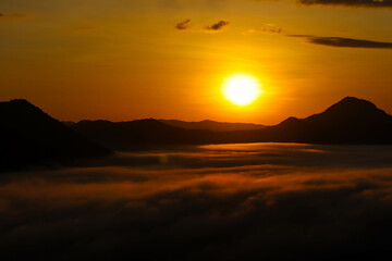 Beautiful sunset above mountains; the forest at orange sunset