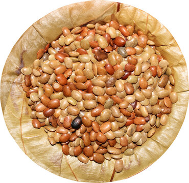 Horse Gram on a Sal Tree Leaf Plate.