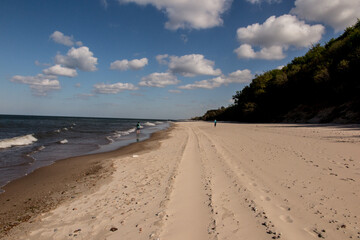 Fototapeta na wymiar Sandy sea beach with small seashells
