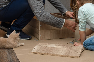 a man at home assembles furniture with his own hands, a little daughter watches his work and gives tools, their pet cat lies nearby.