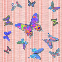 Colorful butterflies design, pattern