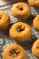 Homemade Pumpkin Spice Donuts
