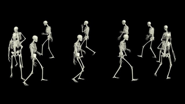 The skeletons run around. 3D running skeletons.