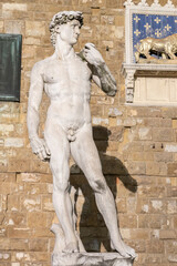David by Michelangelo Buonarroti in Florence, Italy. Famous masterpiece male perfection.