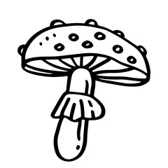 Mushroom hand drawn illustration