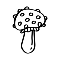 Mushroom hand drawn illustration