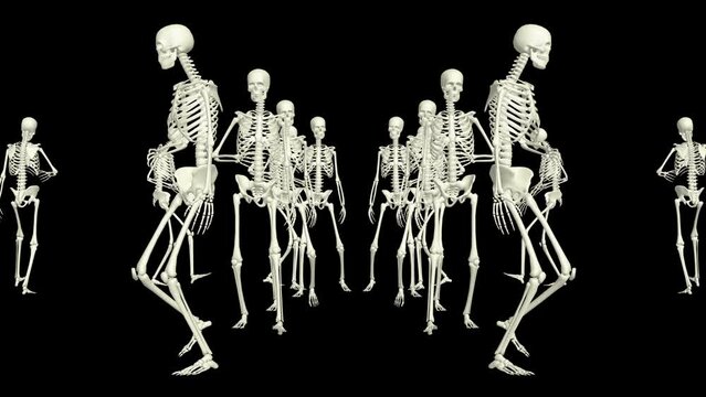 The skeletons run around. 3D running skeletons.