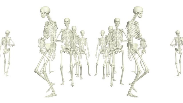 The skeletons run around. 3D running skeletons.