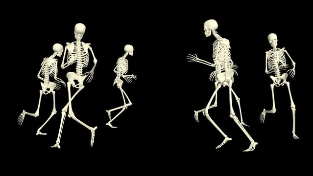 The skeletons run around. 3D running skeletons.