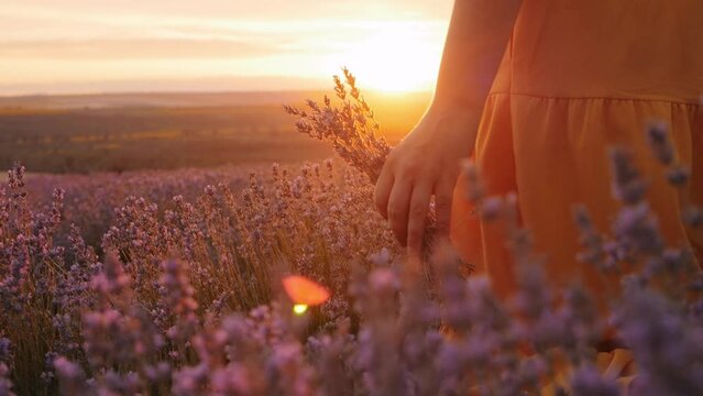 woman in field, enjoying lavender aromatherapy, beautiful background, purple flowers, yellow dress, peace. without face