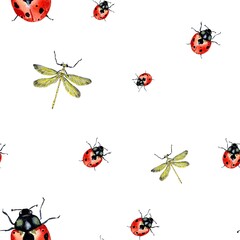 Ladybug red dragonfly nature pattern a watercolor