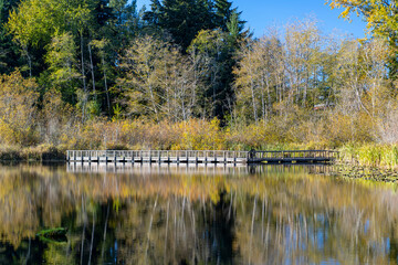 Public pier on park lake in autumn
