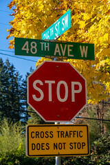 Street signs at a four-way corner with yellow leaves