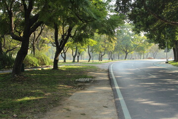 Curvy road surrounded by  green trees inside tropical rain forest area.