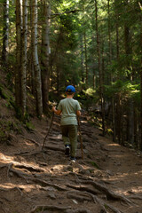 a child climbs a mountain along a forest path