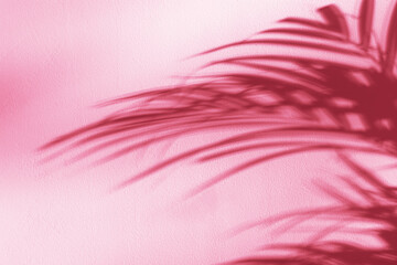 Palm leaves shadow on white wall. Abstract nature background. Color trend year 2023.