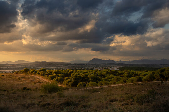 Vega Baja del Segura - Torrevieja - Vista panor&aacute;mica desde lo alto del Parque Natural de la Mata